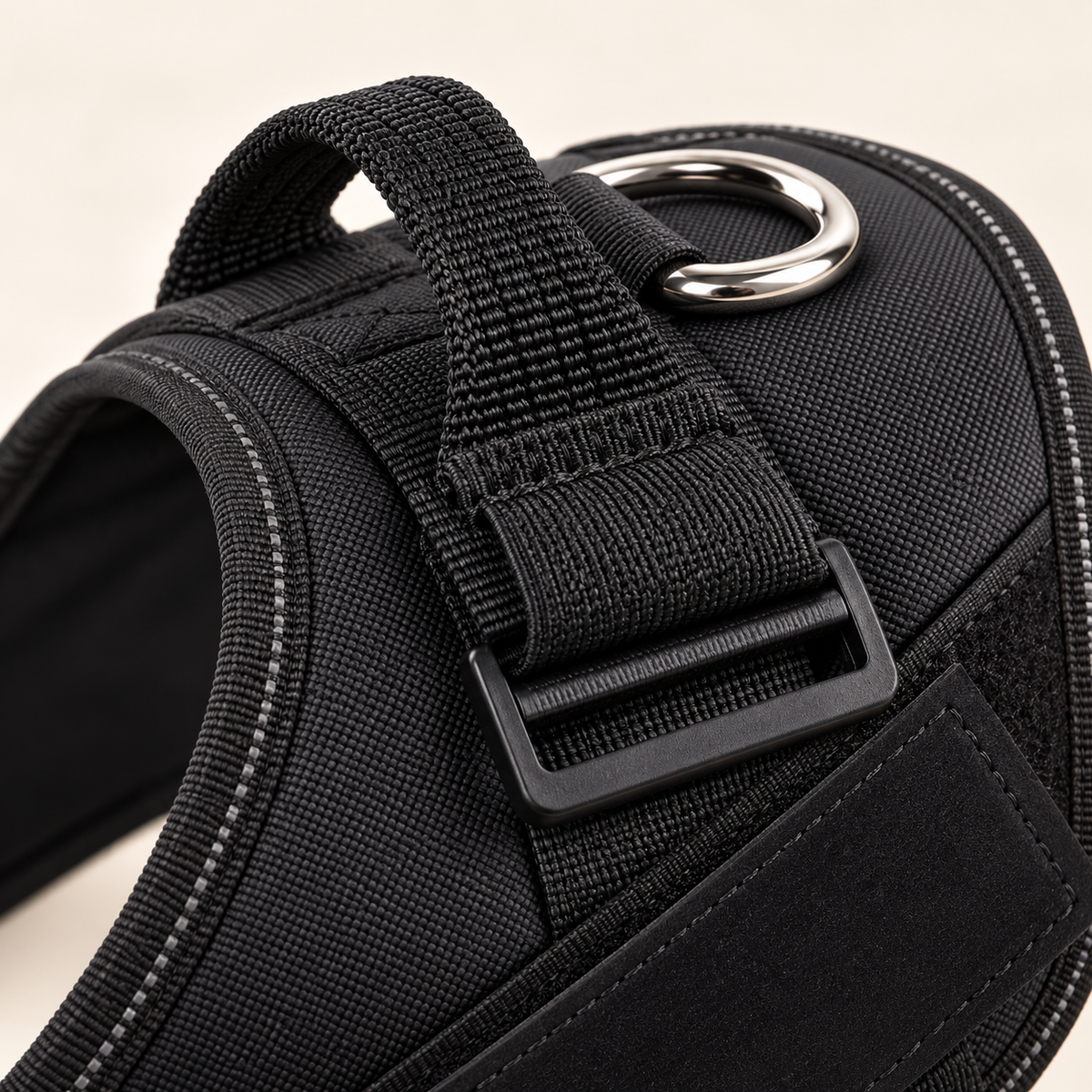 Close-up of the harness grab handle and metal leash ring
