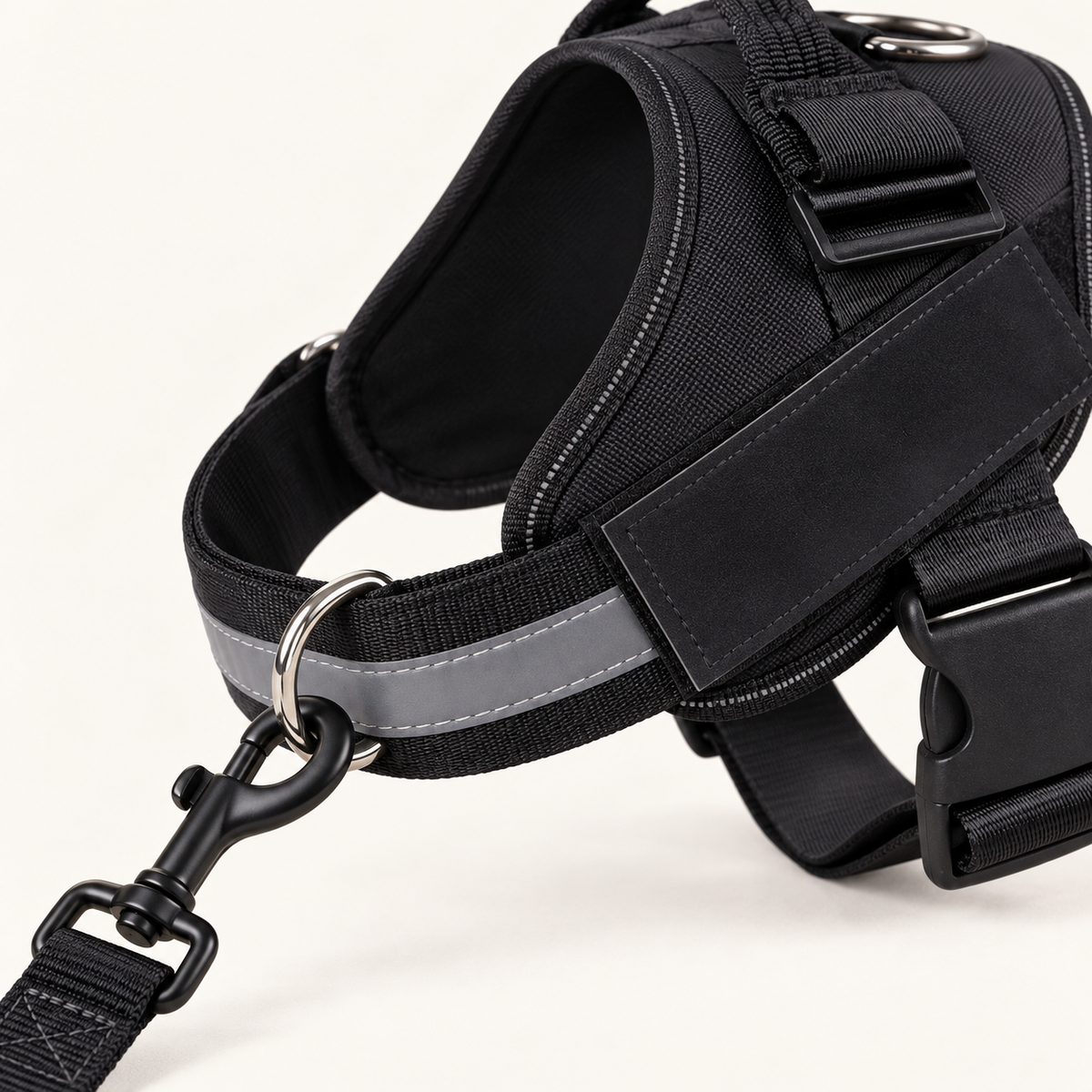 Front no-pull D-ring attachment clipped to a harness chest strap